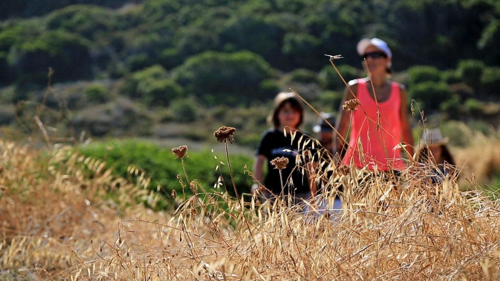 Village De Vacances Paese Di Lava, Grand Ajaccio Alata Bagian luar foto